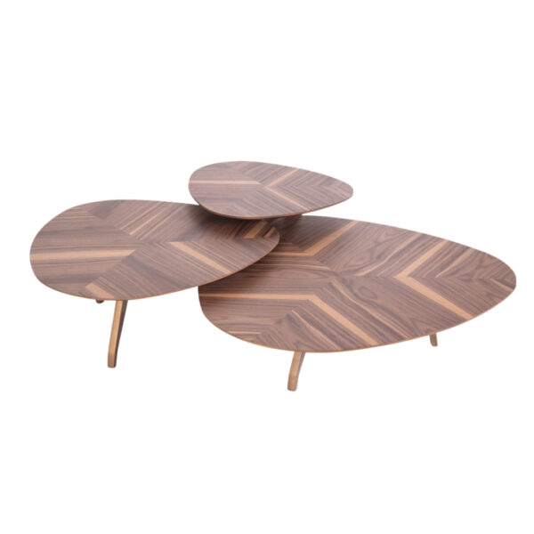 MESA DE CENTRO AKIRA